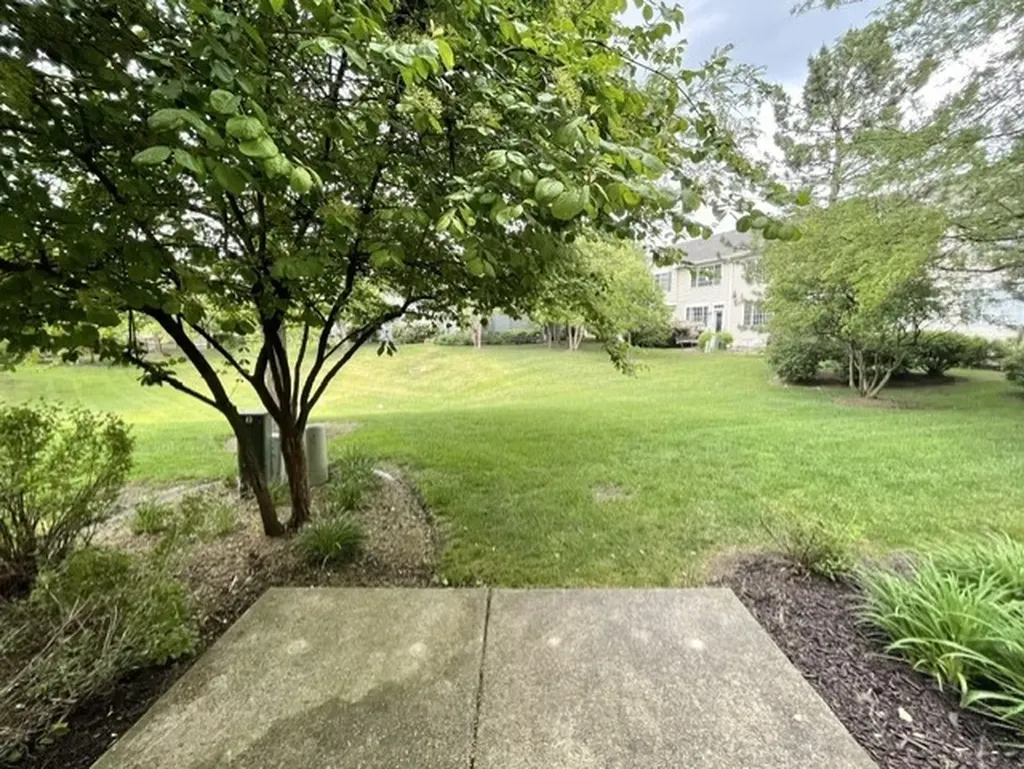 5454 Elizabeth Place Rolling Meadows IL 60008