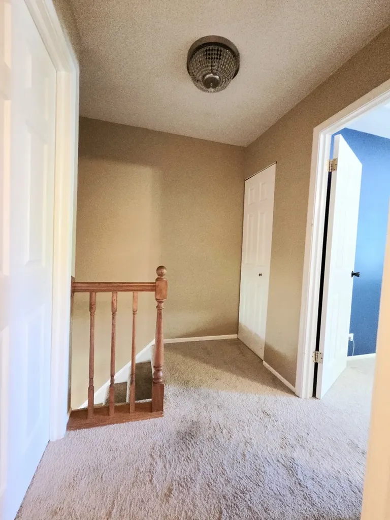1294 Downing Street Roselle IL 60172