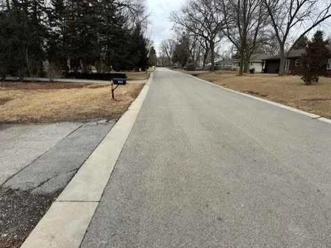 462 South Warren Avenue Palatine IL 60074