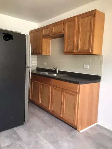 3431 Morgan Street Steger IL 60475