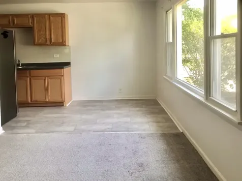 3431 Morgan Street Steger IL 60475