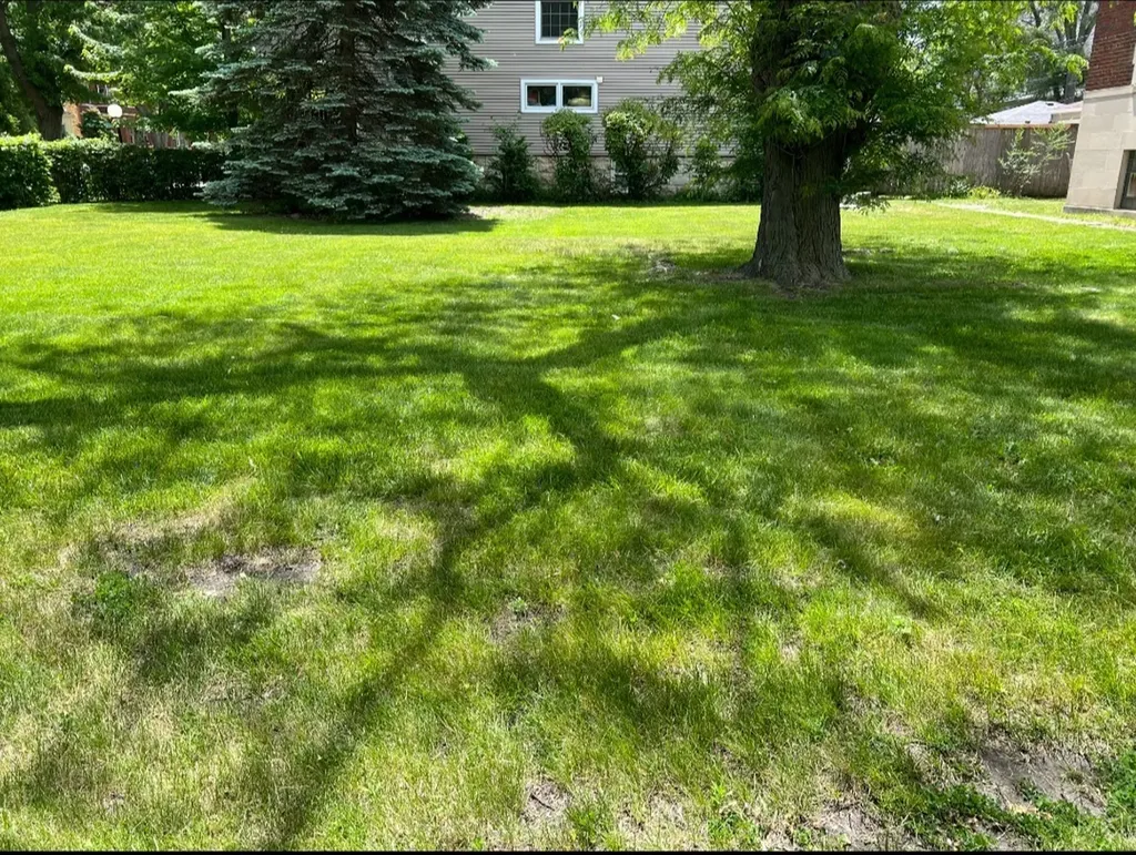 2121 East 72nd Street Chicago IL 60649