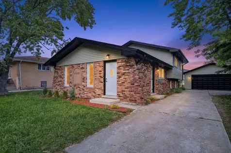 20031 Terrace Avenue Lynwood IL 60411