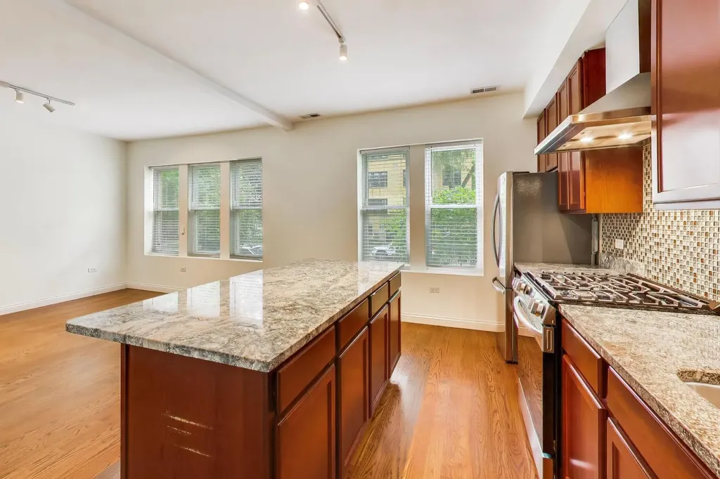 1624 West Grace Street Chicago IL 60613