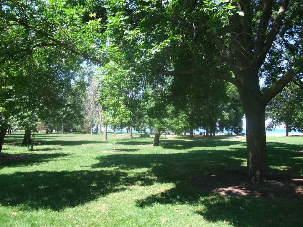 1236 West Farwell Avenue Chicago IL 60626