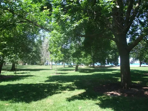 1236 West Farwell Avenue Chicago IL 60626