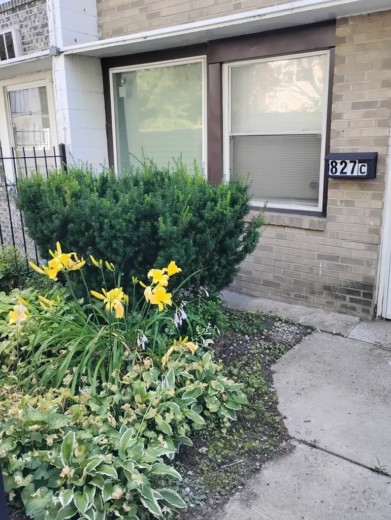 827 East 48th Street Chicago IL 60615