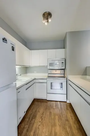 2343 North Greenview Avenue Chicago IL 60614