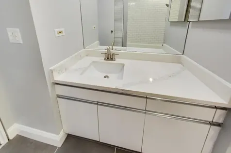2343 North Greenview Avenue Chicago IL 60614