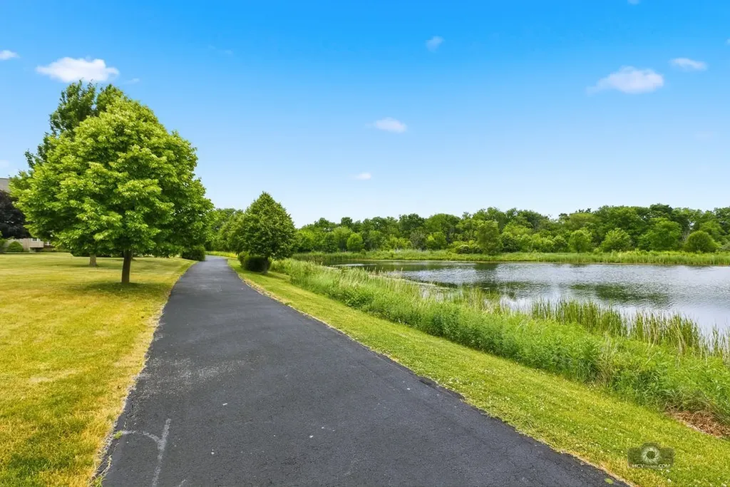 25204 West Indian Boundary Court Plainfield IL 60544