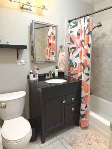 1355 North Sandburg Terrace Chicago IL 60610