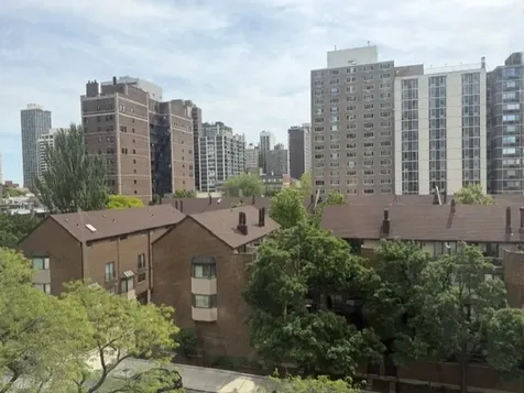 1355 North Sandburg Terrace Chicago IL 60610