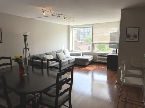 1355 North Sandburg Terrace Chicago IL 60610