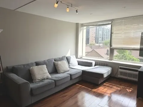1355 North Sandburg Terrace Chicago IL 60610