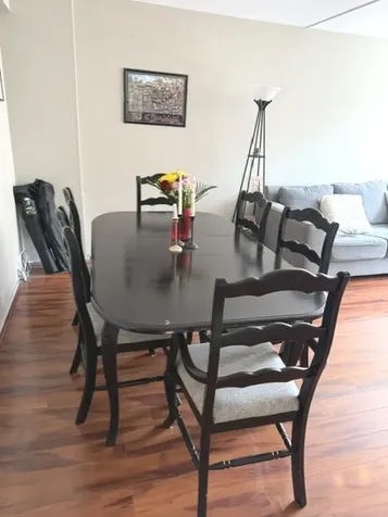 1355 North Sandburg Terrace Chicago IL 60610