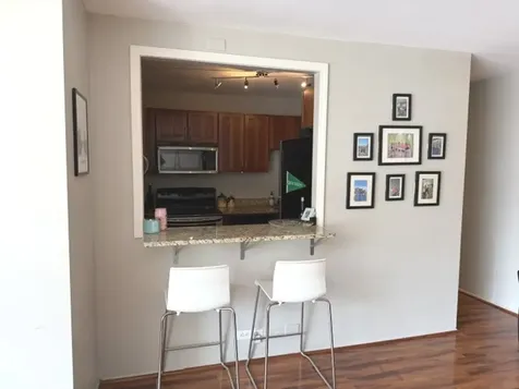 1355 North Sandburg Terrace Chicago IL 60610