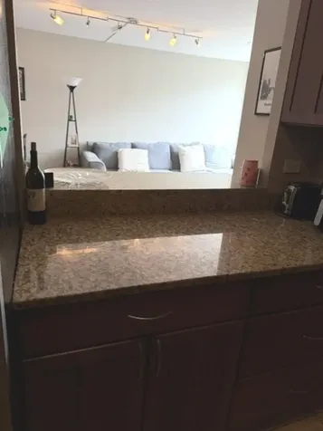 1355 North Sandburg Terrace Chicago IL 60610