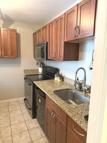 1355 North Sandburg Terrace Chicago IL 60610