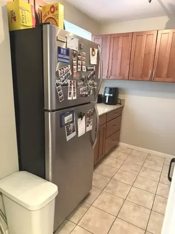1355 North Sandburg Terrace Chicago IL 60610