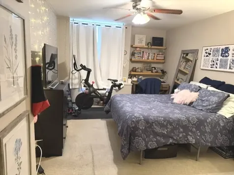 1355 North Sandburg Terrace Chicago IL 60610