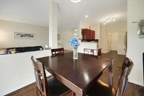 439 Bay Tree Circle Vernon Hills IL 60061