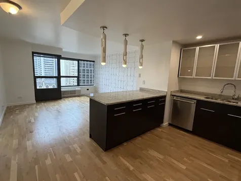 30 East Huron Street Chicago IL 60611