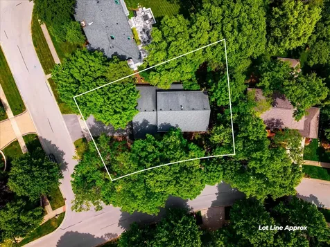 1159 Hobson Mill Drive Naperville IL 60540