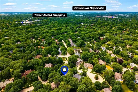 1159 Hobson Mill Drive Naperville IL 60540