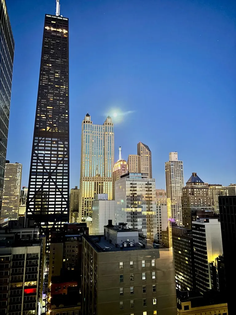 880 North Lake Shore Drive Chicago IL 60611