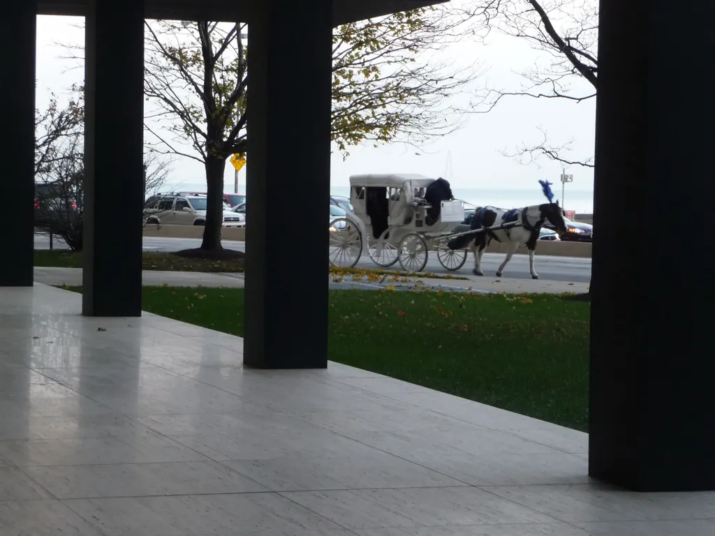 880 North Lake Shore Drive Chicago IL 60611