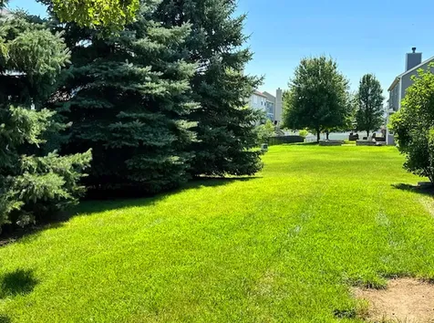 945 Forest View Way Antioch IL 60002