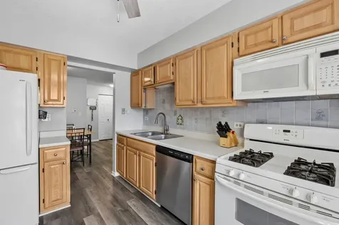 40 West Fern Court Palatine IL 60067