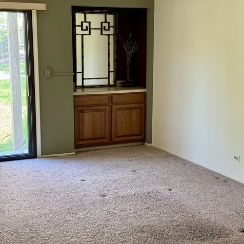 1036 North Pine Tree Circle Buffalo Grove IL 60089