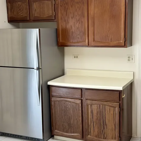 1036 North Pine Tree Circle Buffalo Grove IL 60089