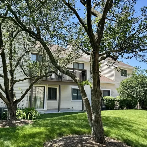 1036 North Pine Tree Circle Buffalo Grove IL 60089