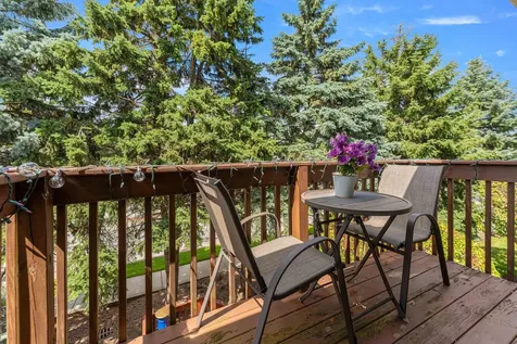 6930 Lexington Court Tinley Park IL 60477