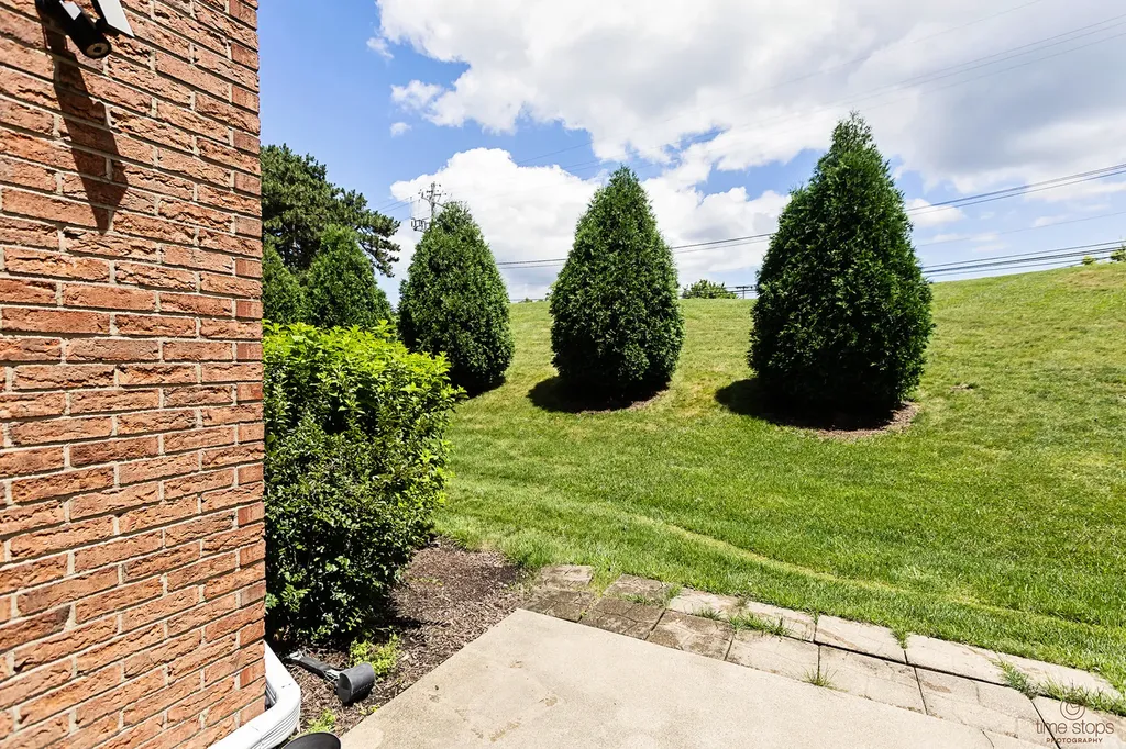 8575 Sandalwood Drive Darien IL 60561