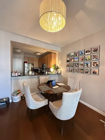 530 North Lake Shore Drive Chicago IL 60611