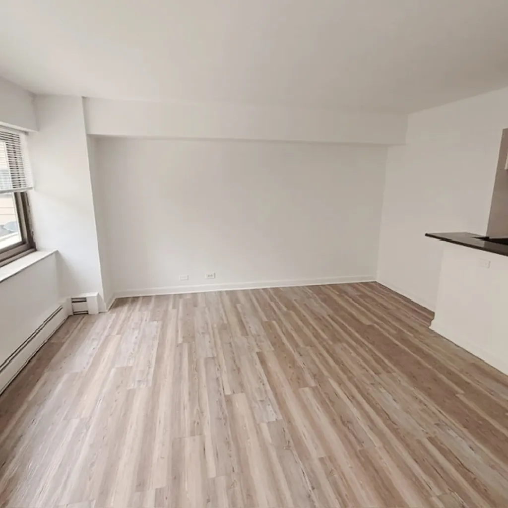 7337 South South Shore Drive Chicago IL 60649