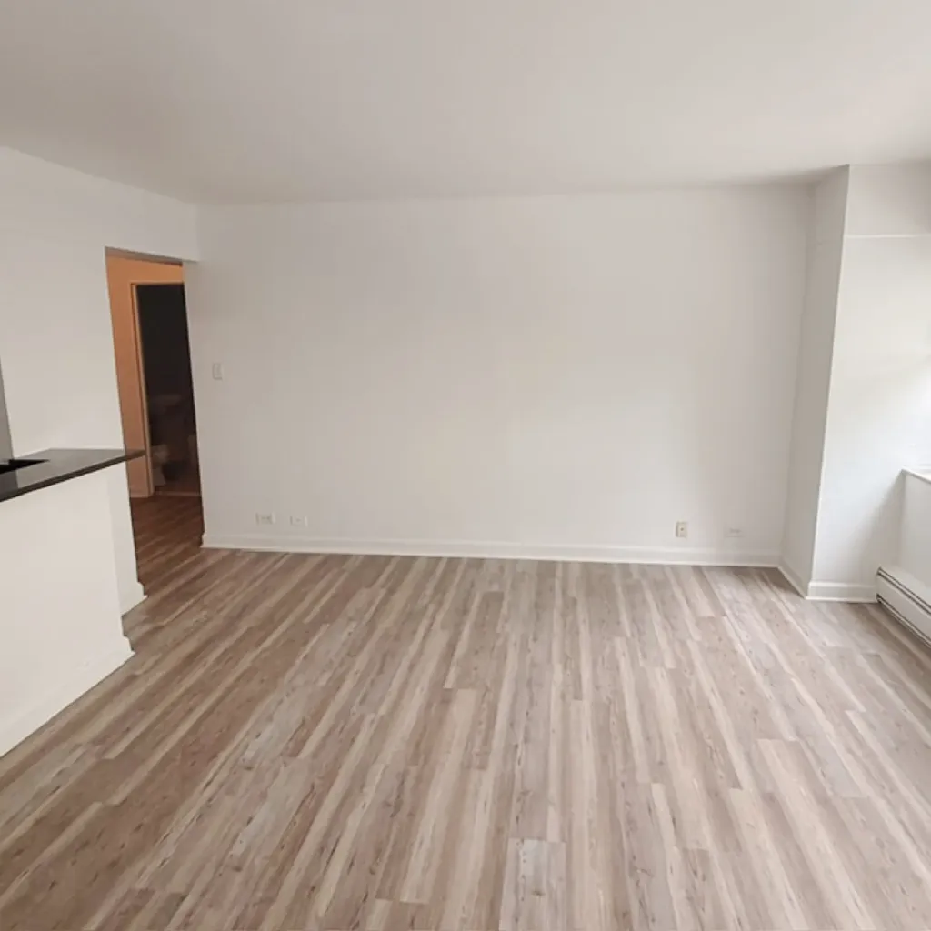 7337 South South Shore Drive Chicago IL 60649