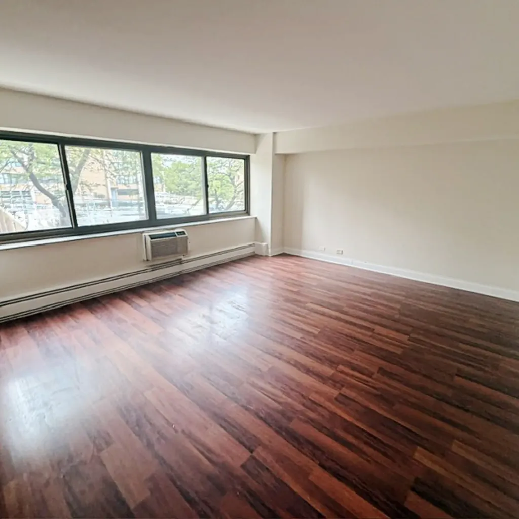 7337 South South Shore Drive Chicago IL 60649