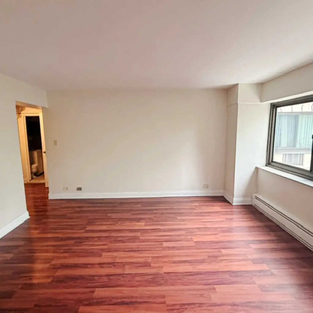 7337 South South Shore Drive Chicago IL 60649