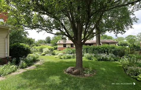 518 Oak Street Elk Grove Village IL 60007