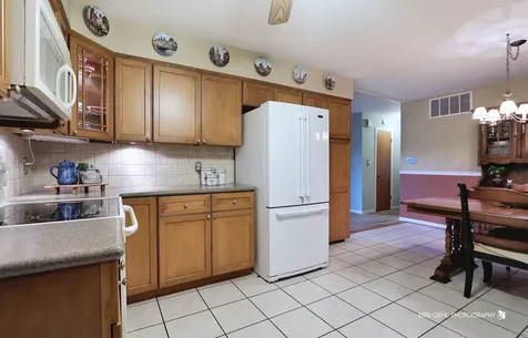 518 Oak Street Elk Grove Village IL 60007