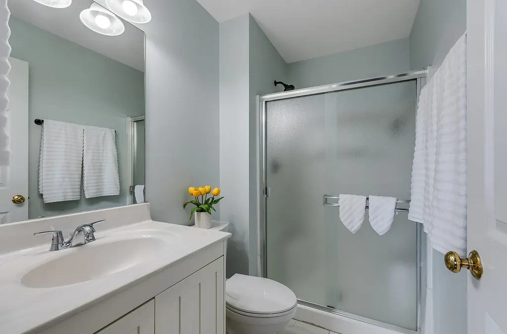 1035 Serendipity Drive Aurora IL 60504