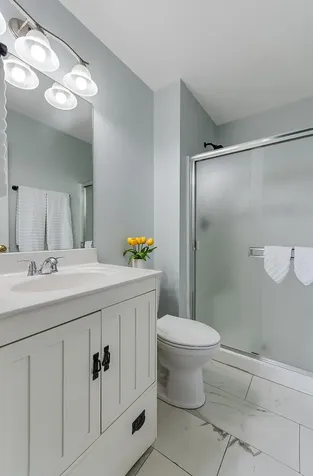 1035 Serendipity Drive Aurora IL 60504