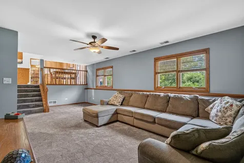 717 Naoma Drive Crete IL 60417