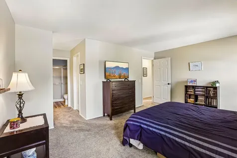 1307 Cromwell Court Vernon Hills IL 60061