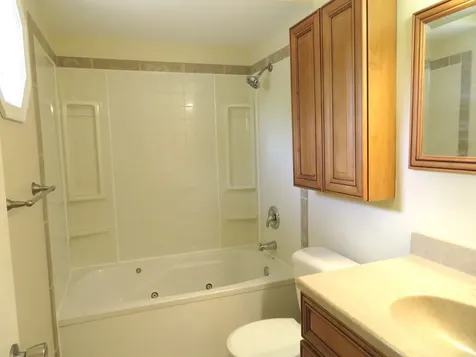 116 Crabapple Lane Morris IL 60450