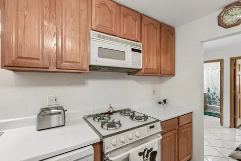 8924 Kenneth Drive Des Plaines IL 60016